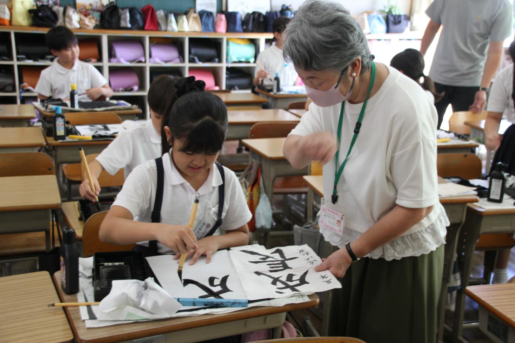 IMG_6310 IMG_6310