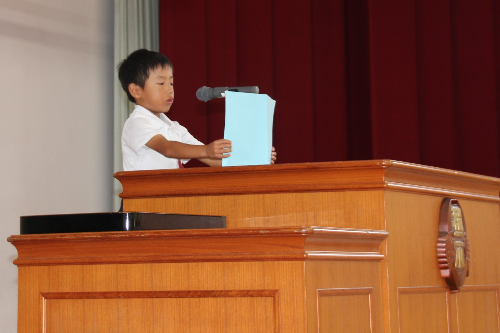 IMG_6633 IMG_6633