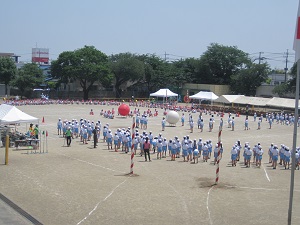 大玉1
