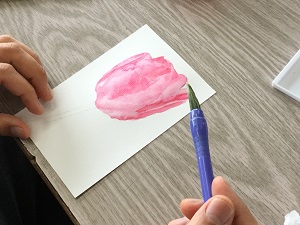 IMG_1934 IMG_1934