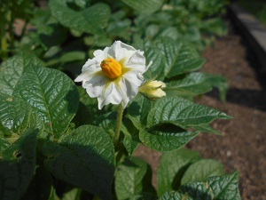 DSCN0802