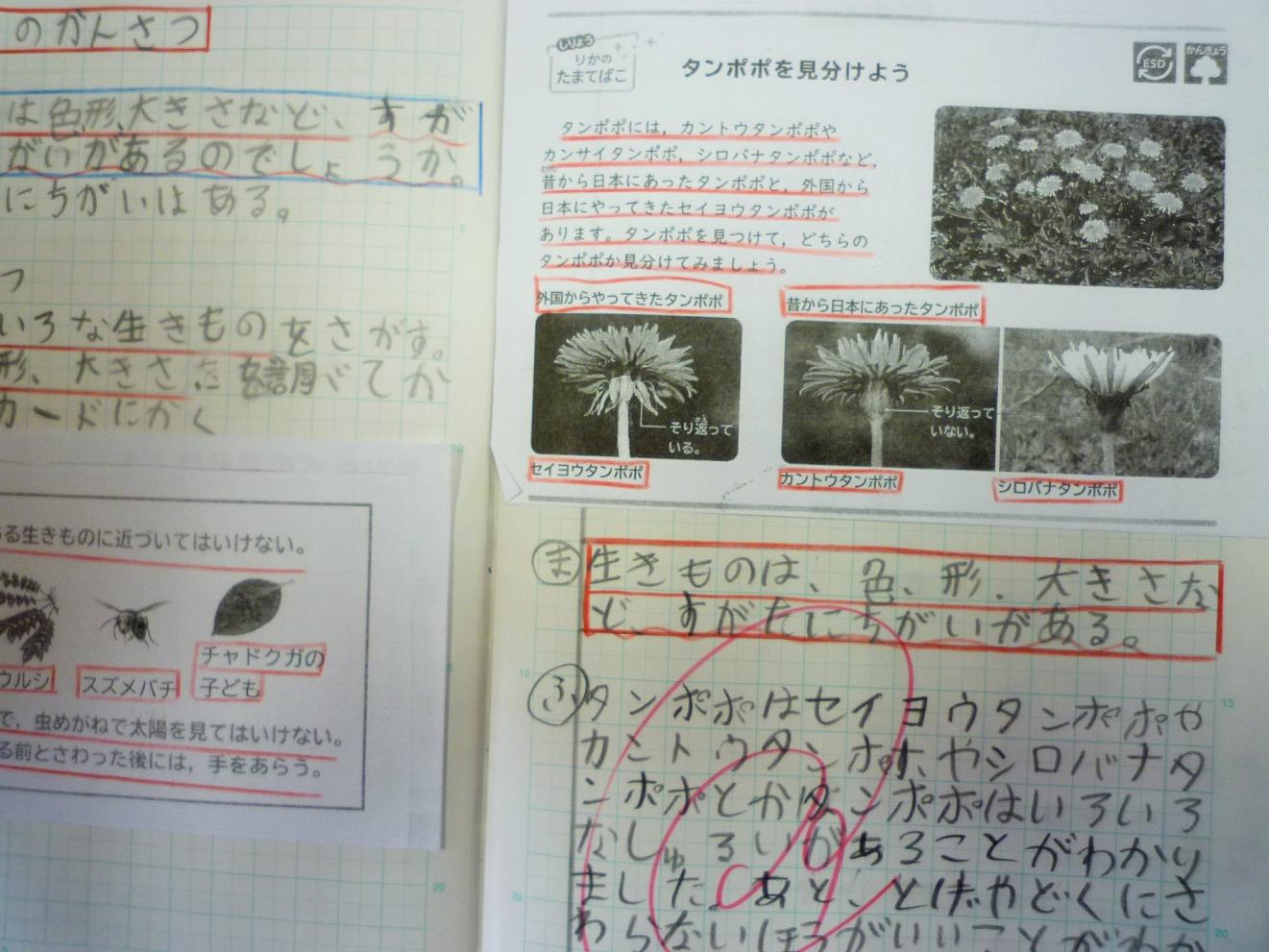 0601 (4) 0601 (4)