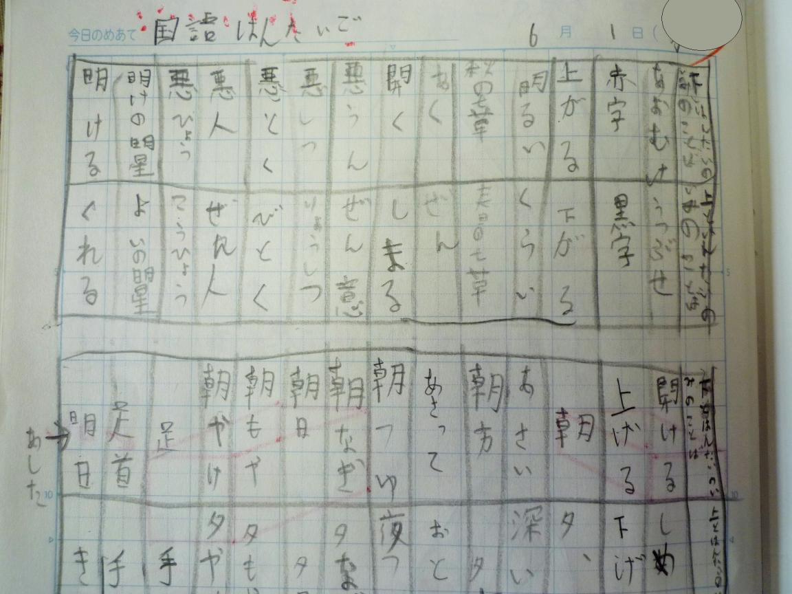 P1010630 P1010630