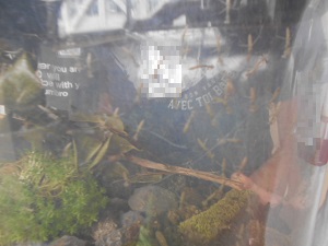DSCN0851