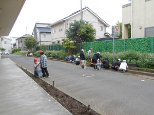 DSCN0913 DSCN0913