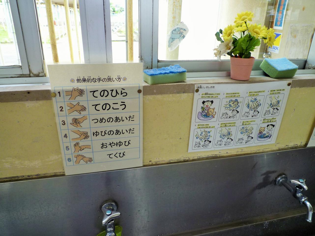 P1030098 P1030098
