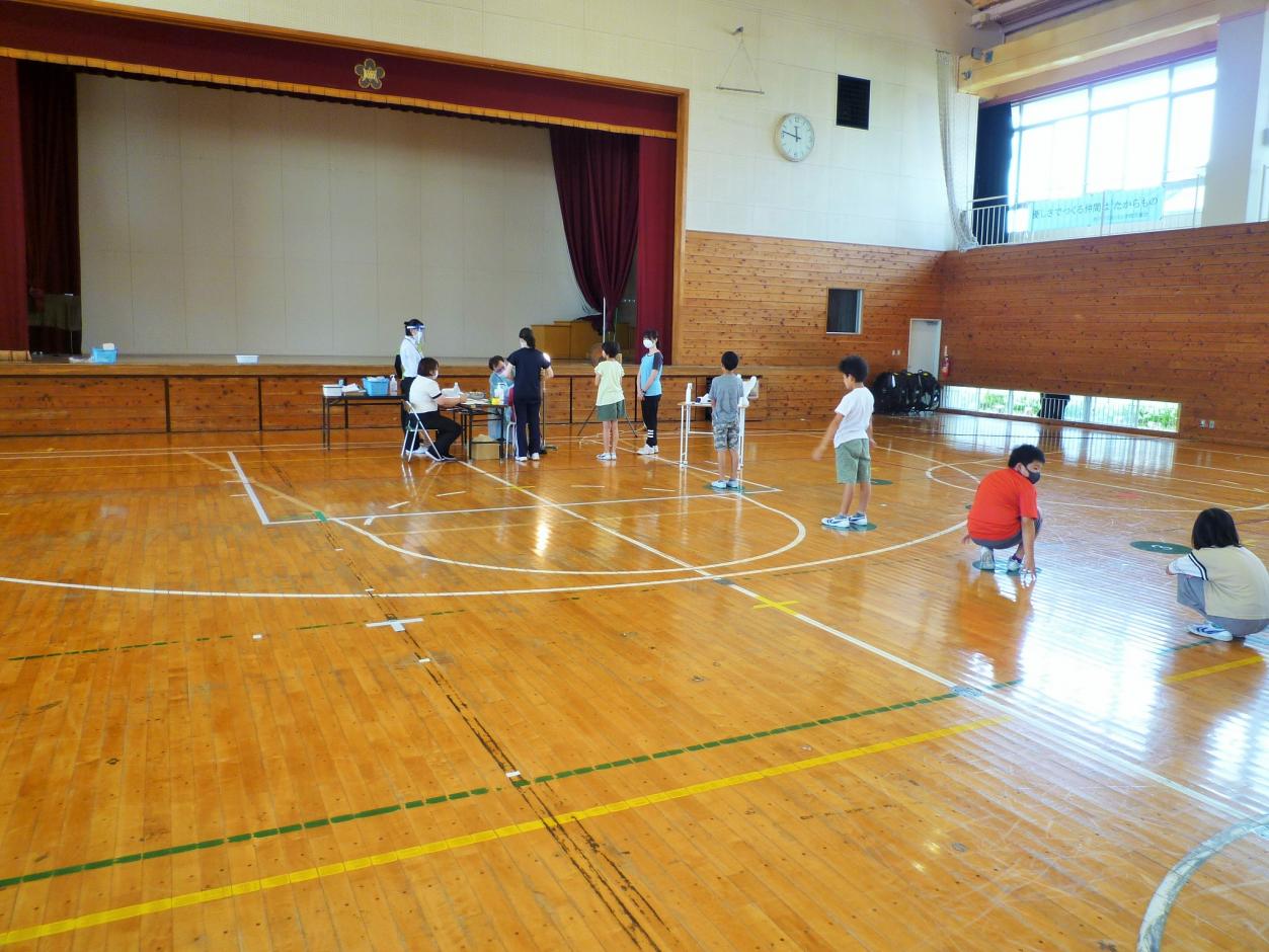 P1030611 P1030611