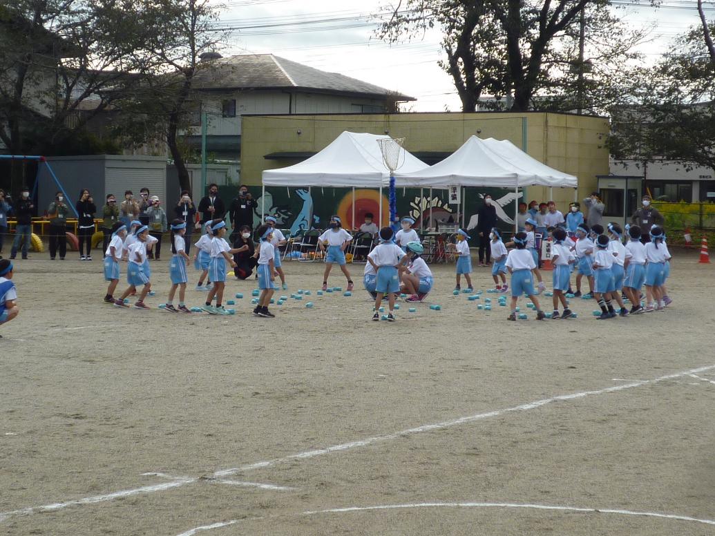 P1040087 P1040087