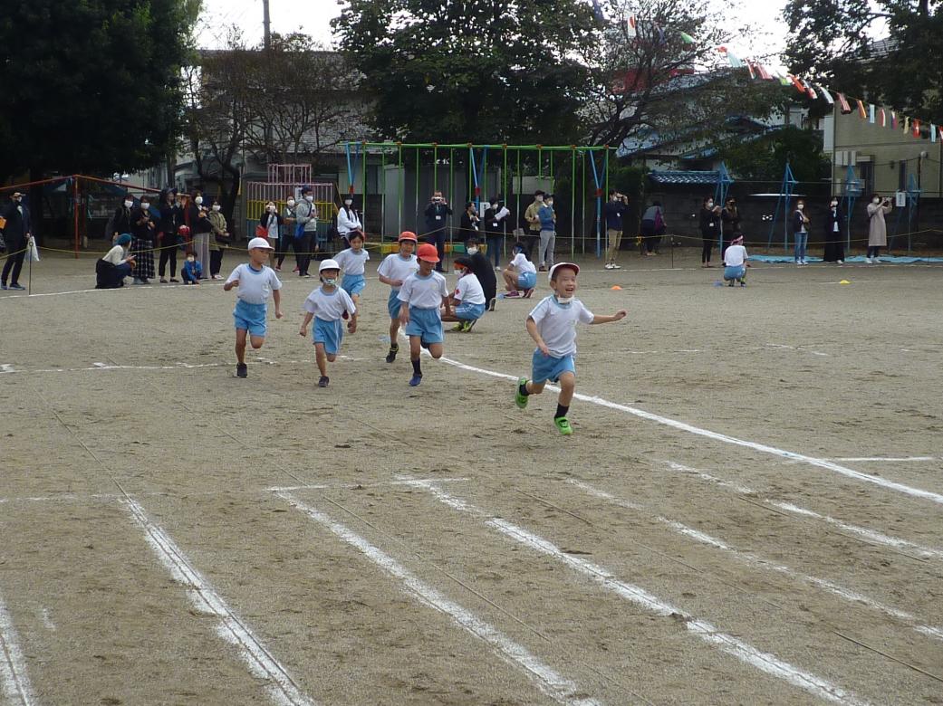 P1040082 P1040082