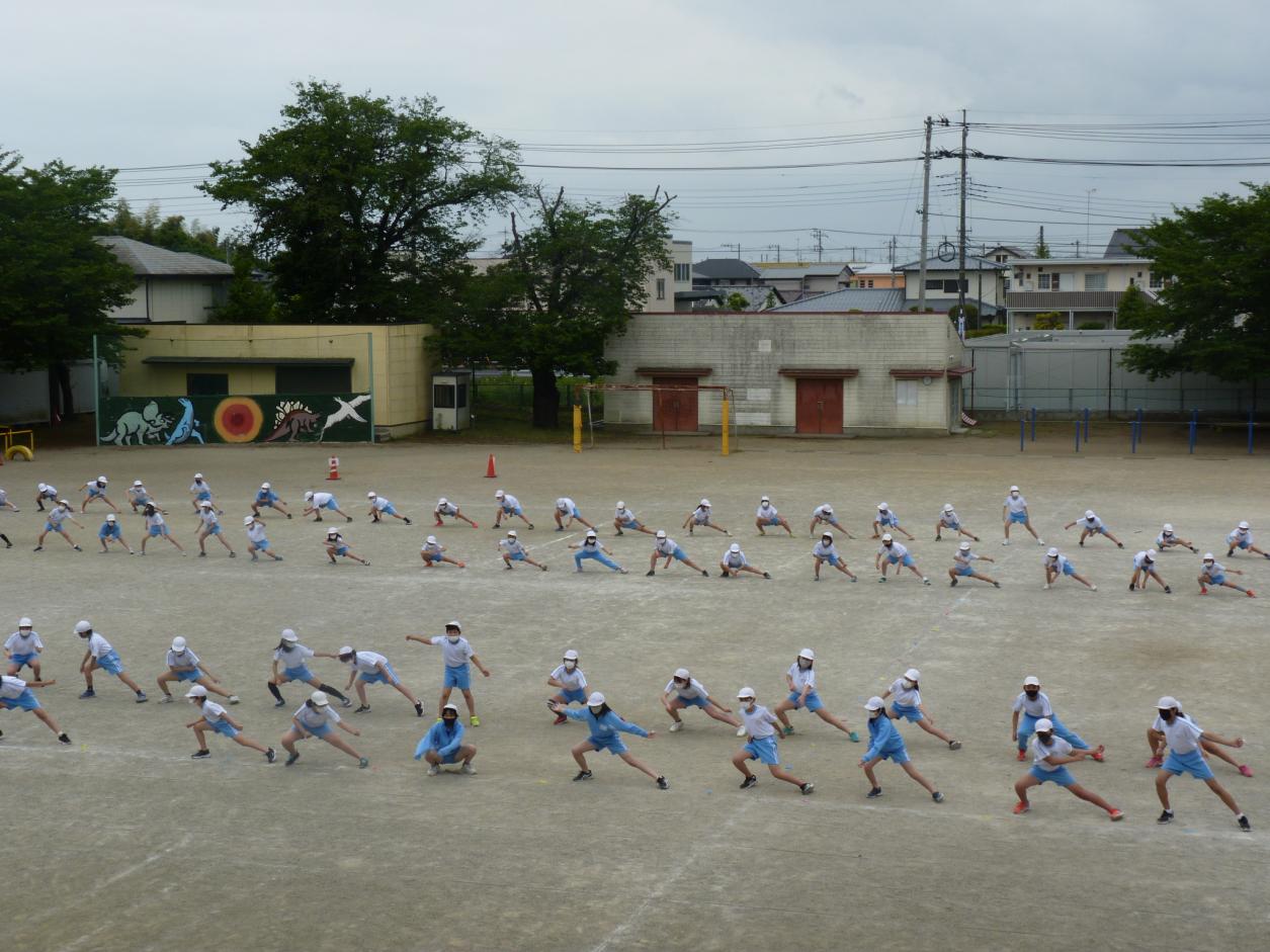 P1170394