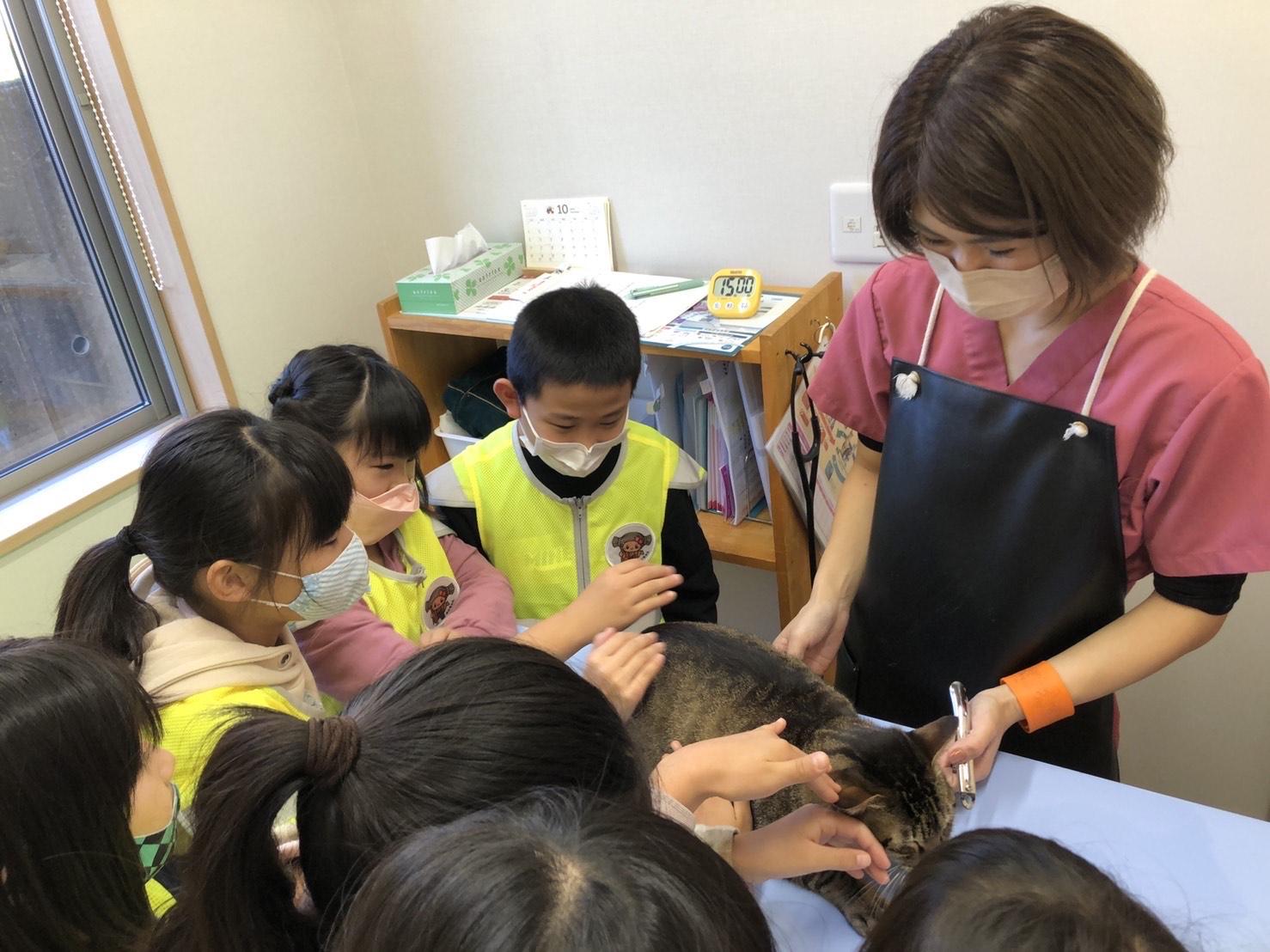 赤塚どうぶつ病院