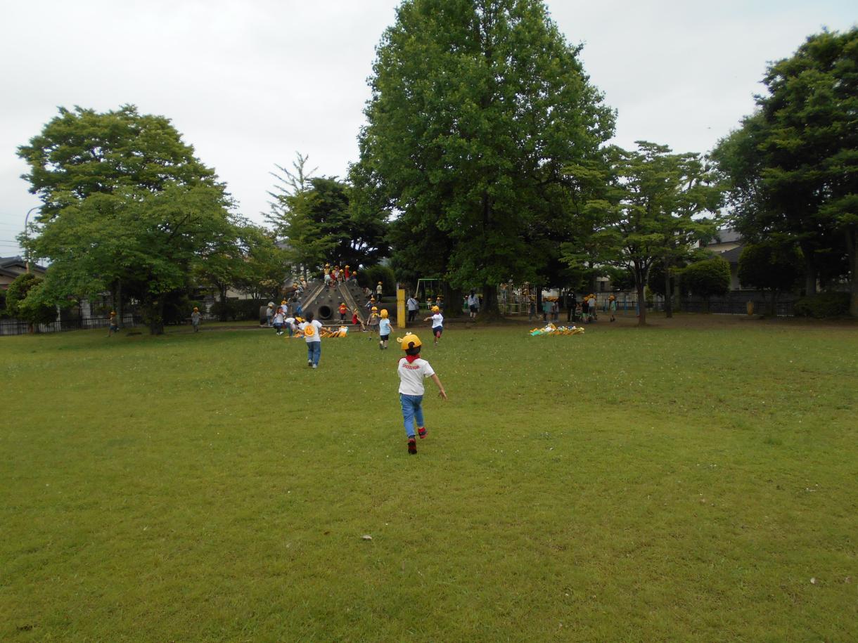 DSCN2642 DSCN2642