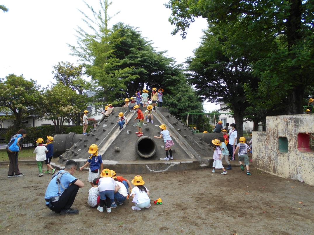 DSCN2643 DSCN2643