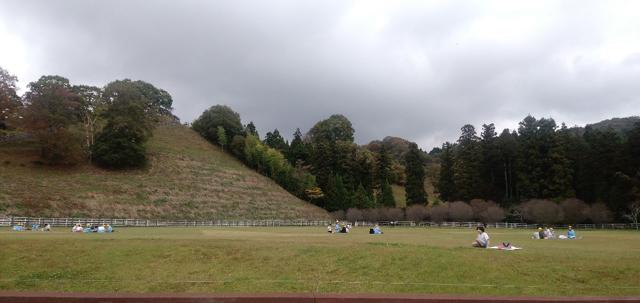 IMG_8188 IMG_8188