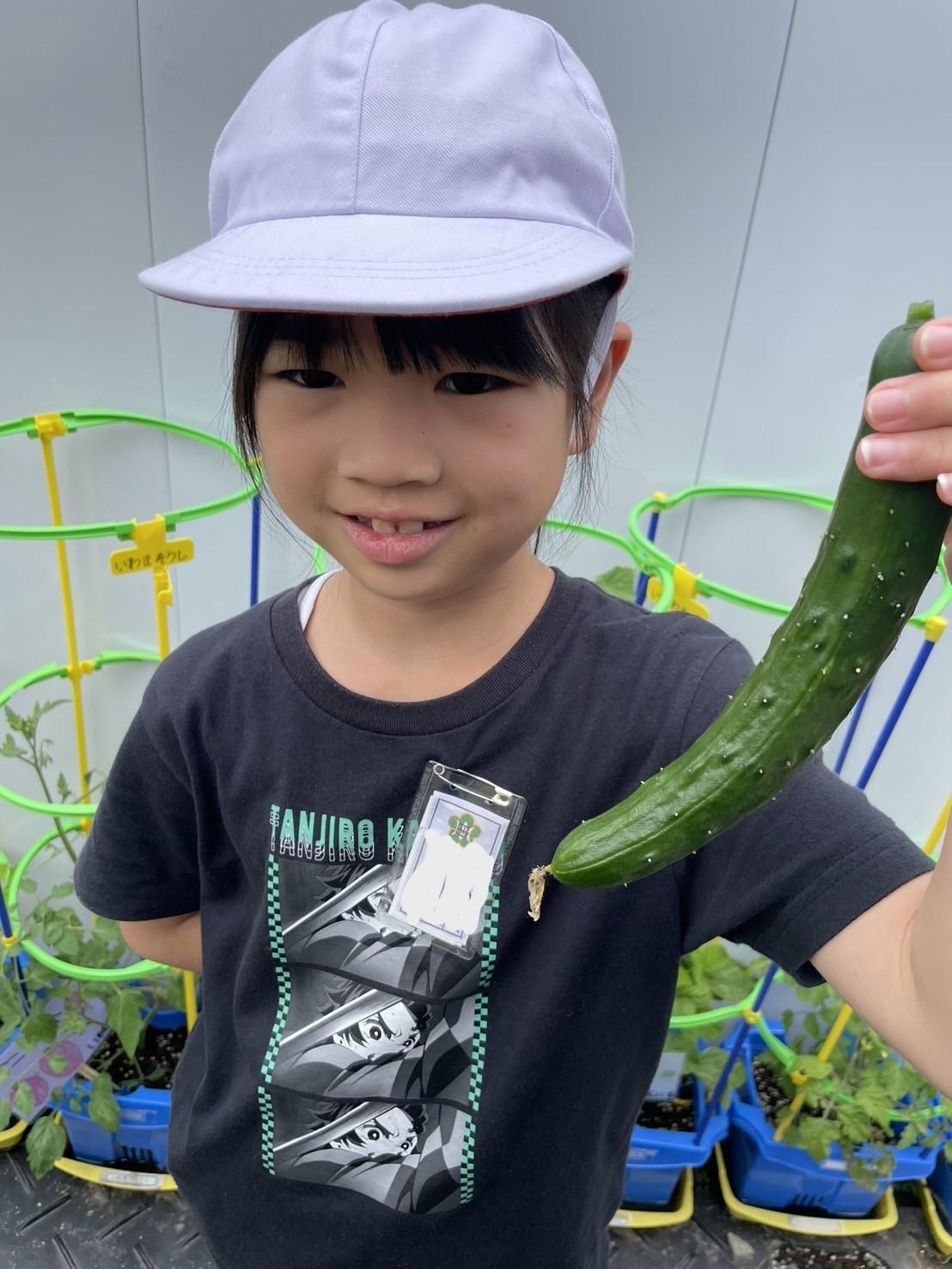 野菜2年1 野菜2年1