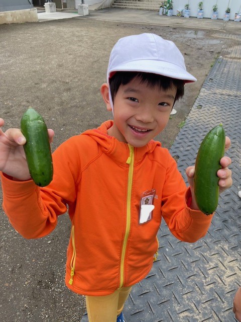 野菜2年2 野菜2年2
