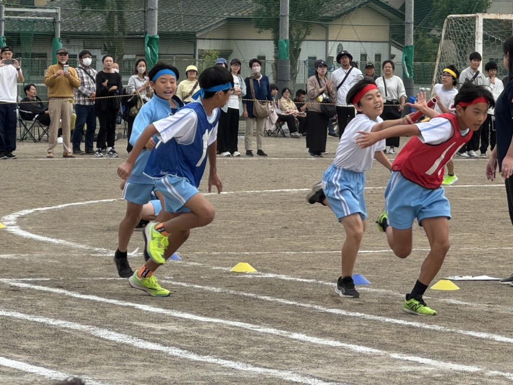 IMG_2195 IMG_2195