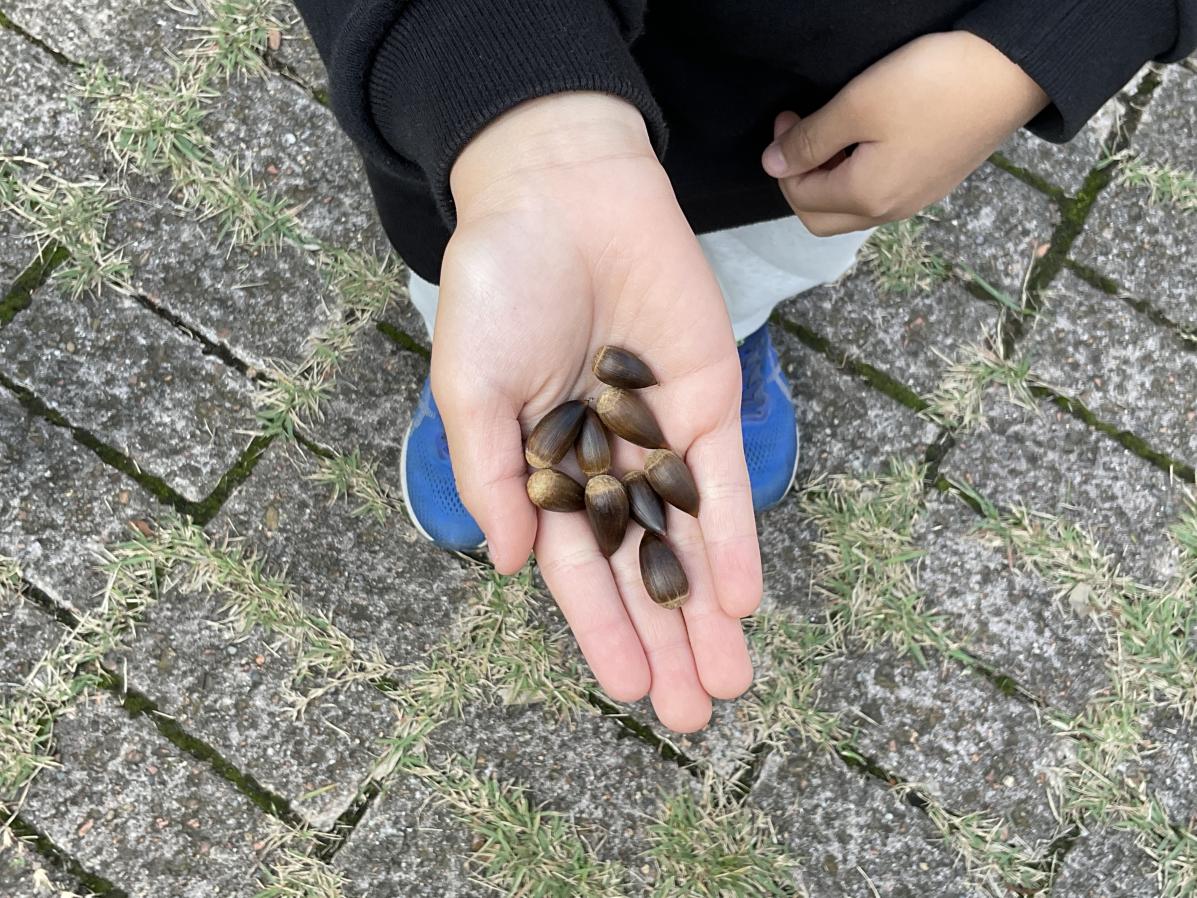 公園たんけん3 公園たんけん3