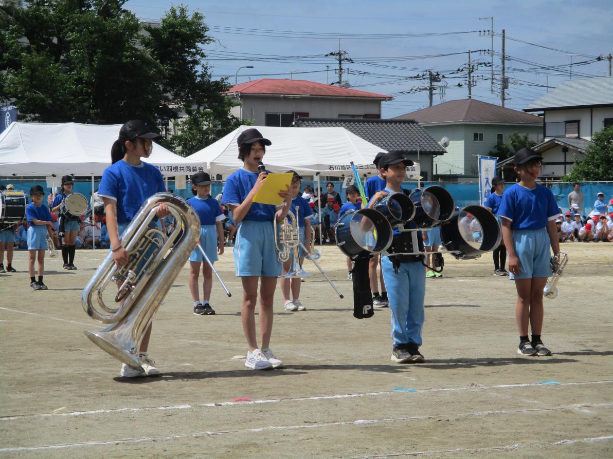 IMG_5625 IMG_5625