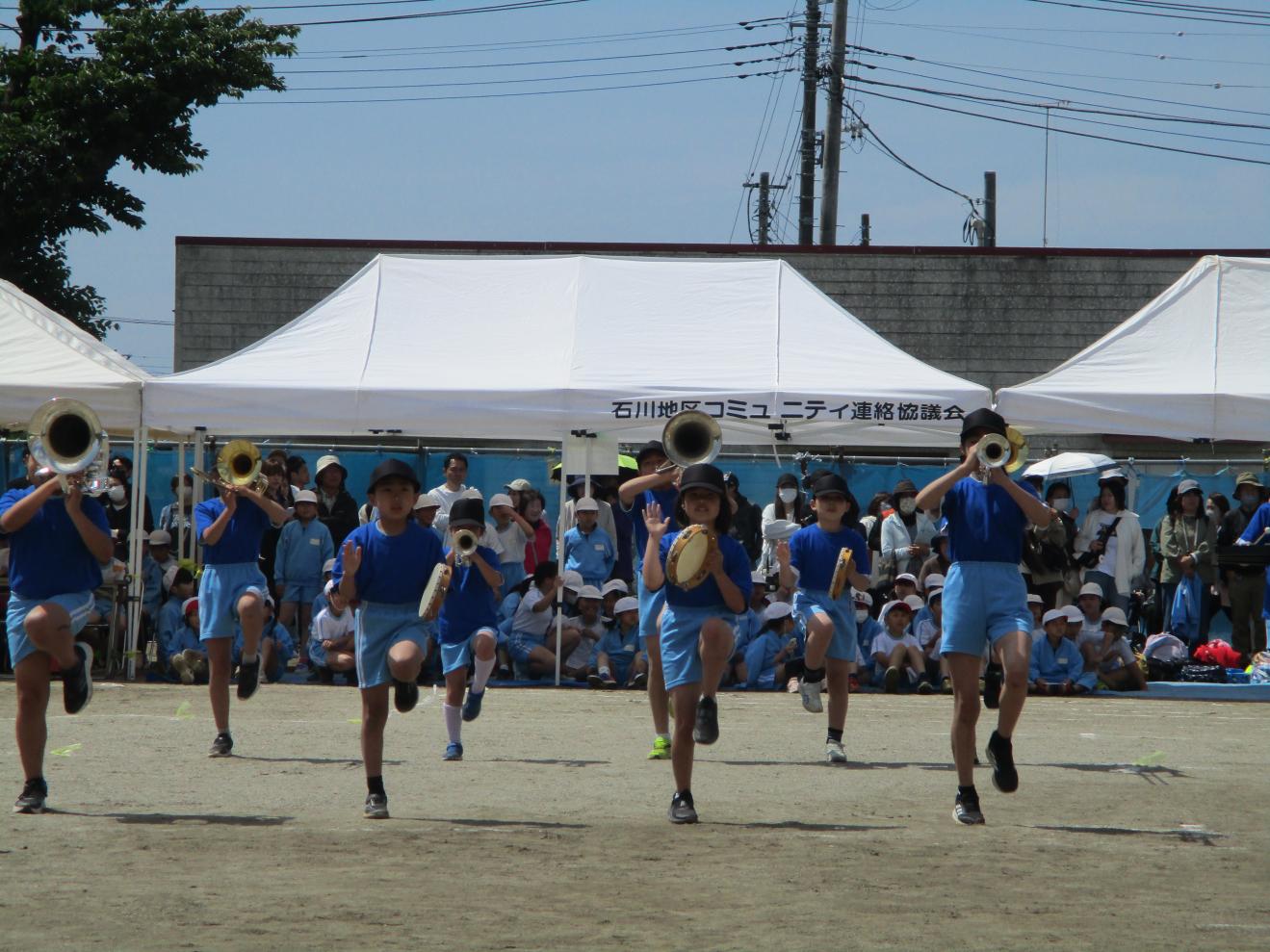 IMG_5626 IMG_5626