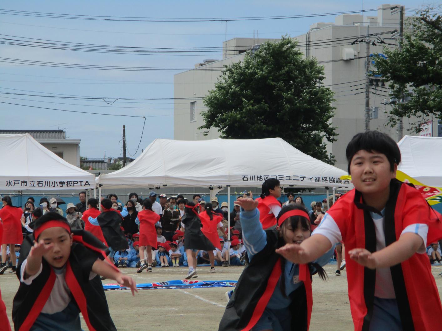IMG_5634 IMG_5634