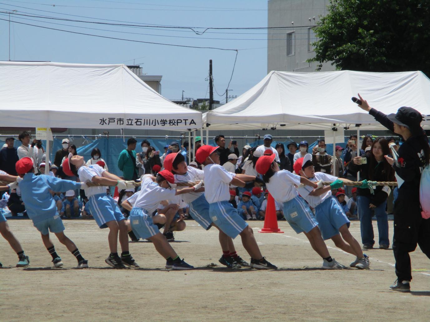 IMG_5655 IMG_5655