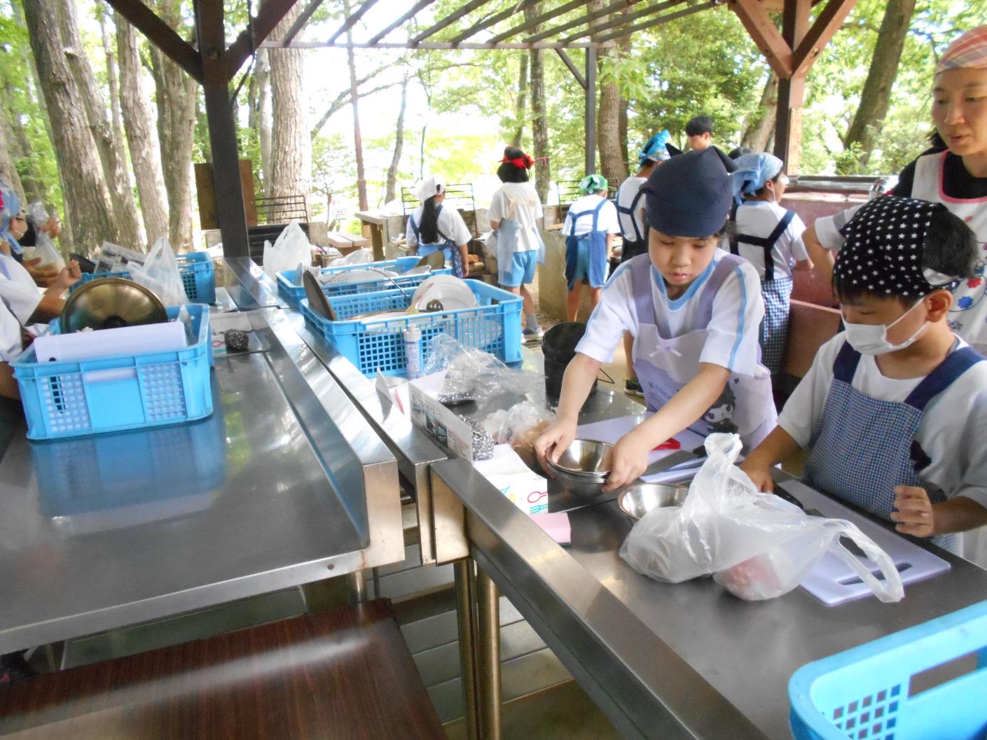 DSCN2501 DSCN2501