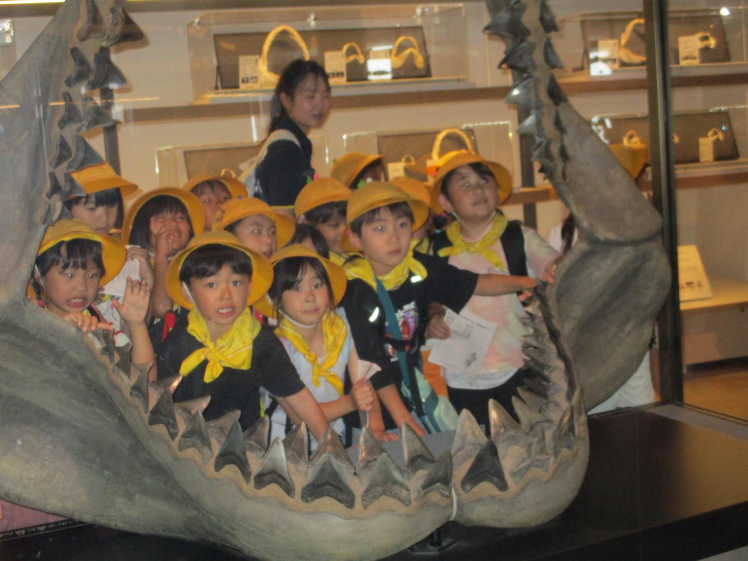IMG_5912 IMG_5912