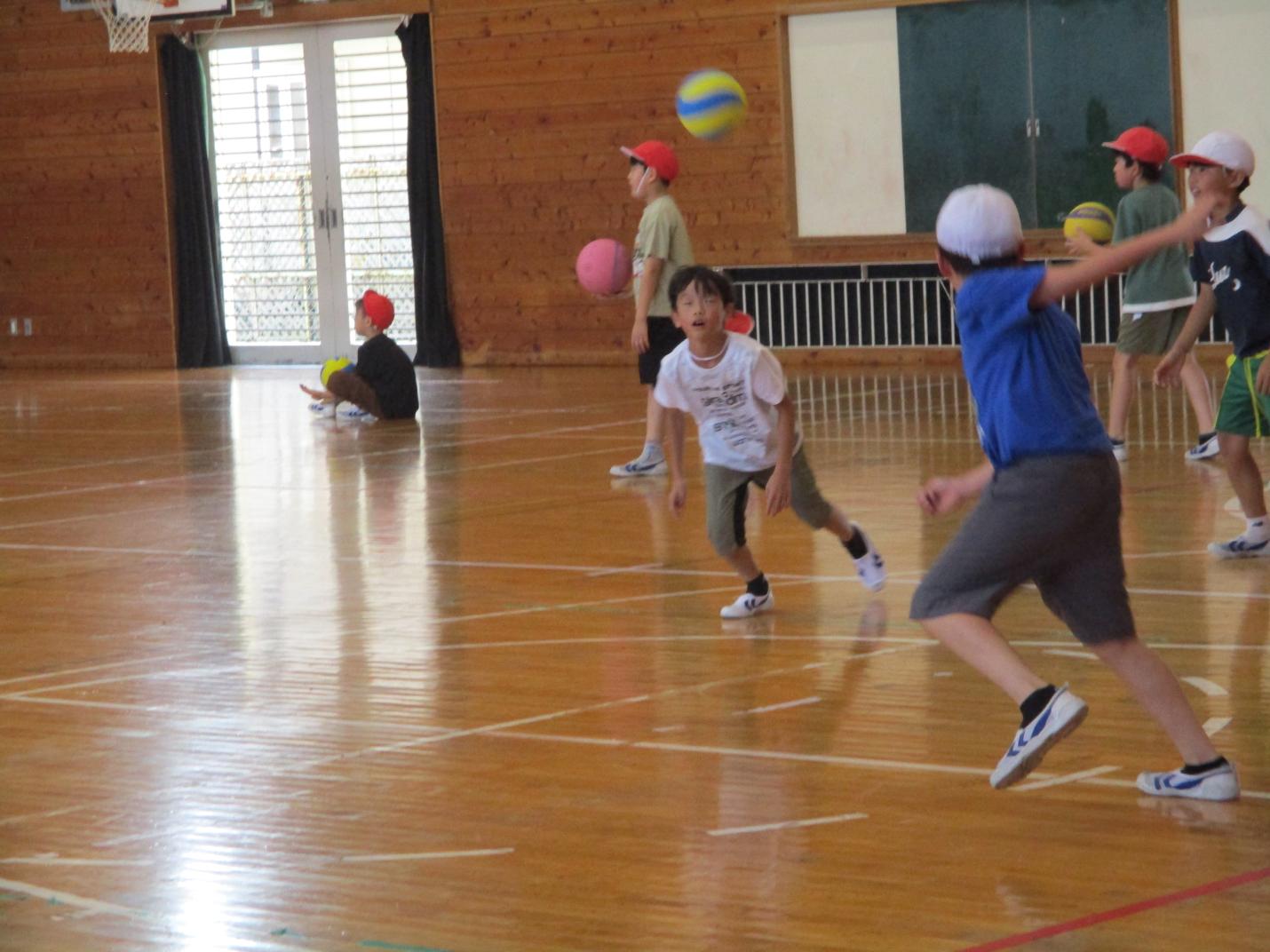 IMG_6268 IMG_6268