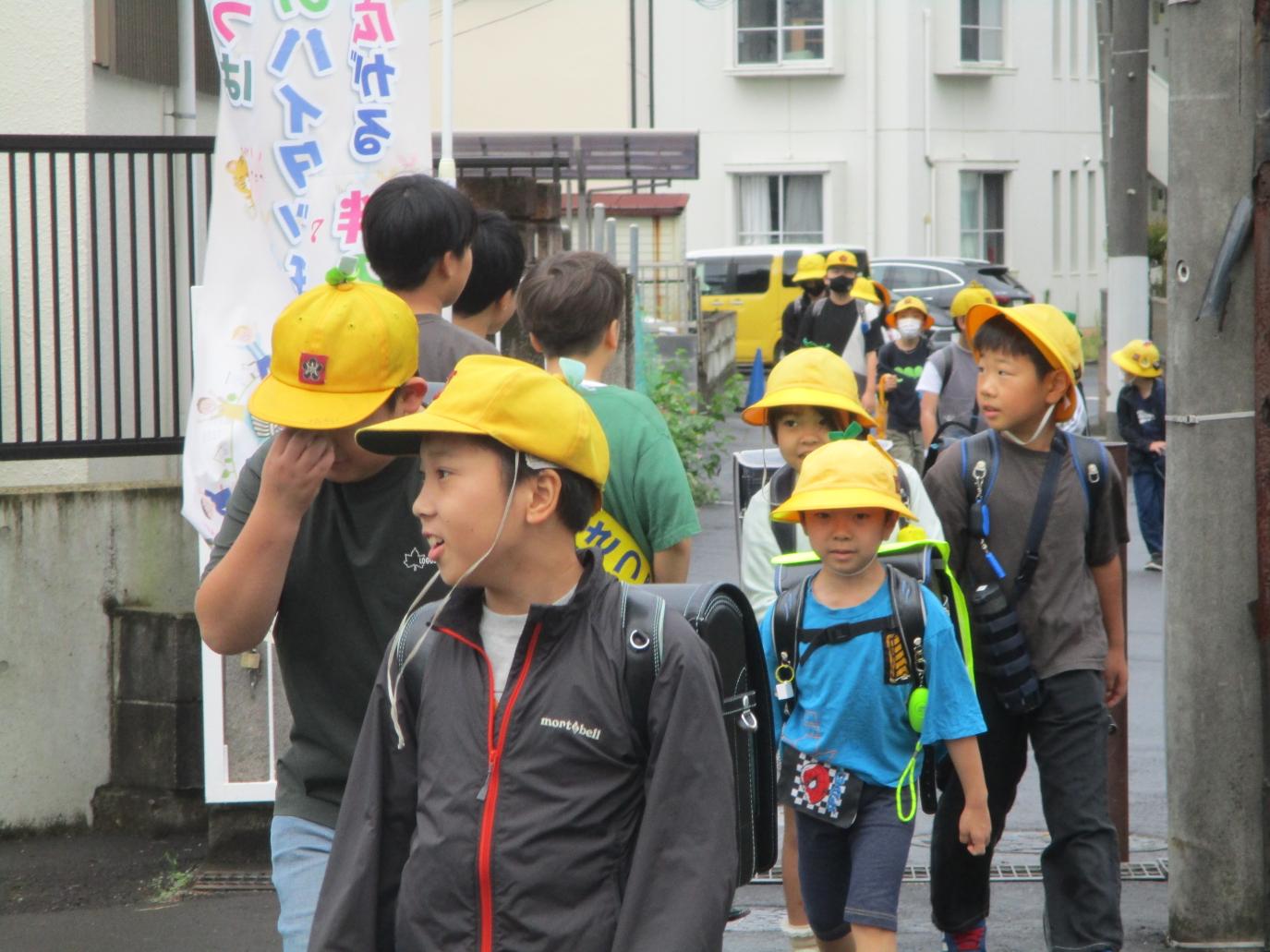 IMG_6474 IMG_6474