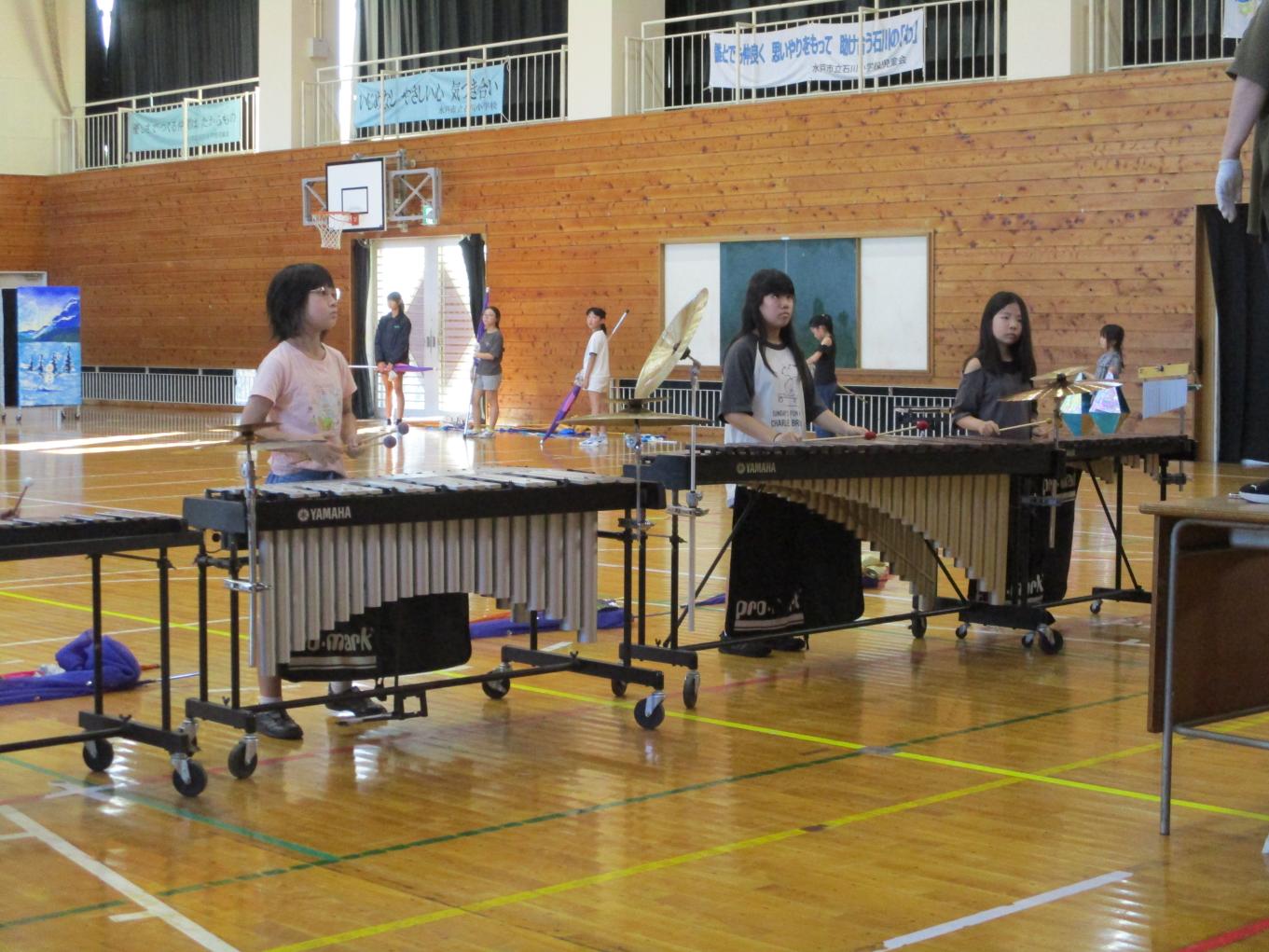 IMG_6486 IMG_6486