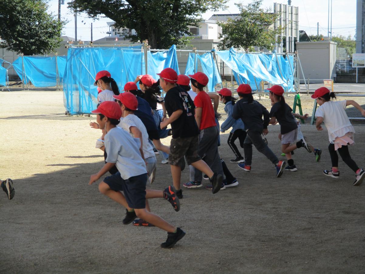 IMG_6556 IMG_6556
