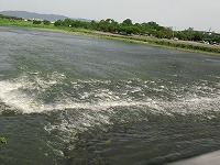 IMG_0449 IMG_0449
