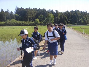 DSCN5775 DSCN5775