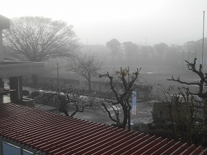 s-DSCN6980 s-DSCN6980