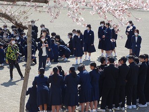 s-DSC02460