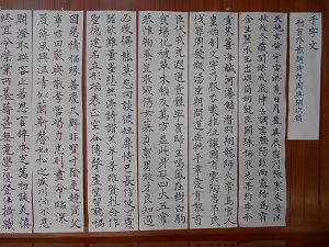 s-DSCN7124 s-DSCN7124