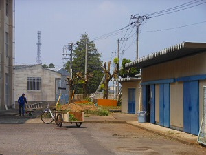 s-DSCN7184