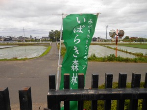 s-DSCN7197