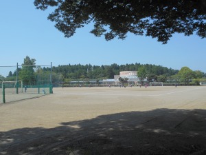 s-DSCN7390
