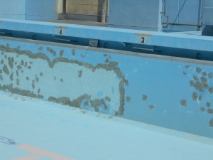 s-DSCN7413