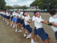 s-DSCN7441 s-DSCN7441