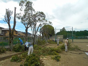 s-DSCN7506 s-DSCN7506