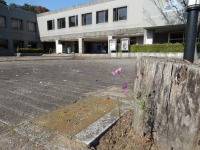 s-DSC03088