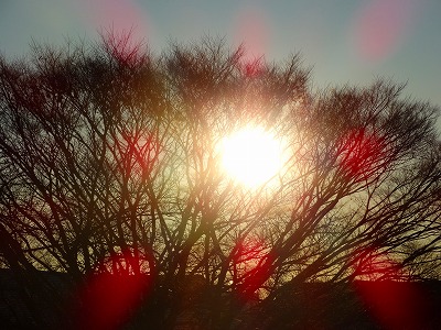 s-DSC03112 s-DSC03112