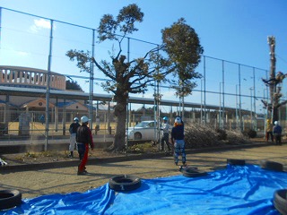 s-DSCN7873 s-DSCN7873