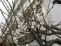 IMG_0007 IMG_0007