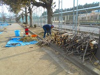 s-DSCN7907 s-DSCN7907