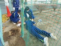 s-DSCN7942 s-DSCN7942