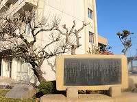 GOPR0101 GOPR0101